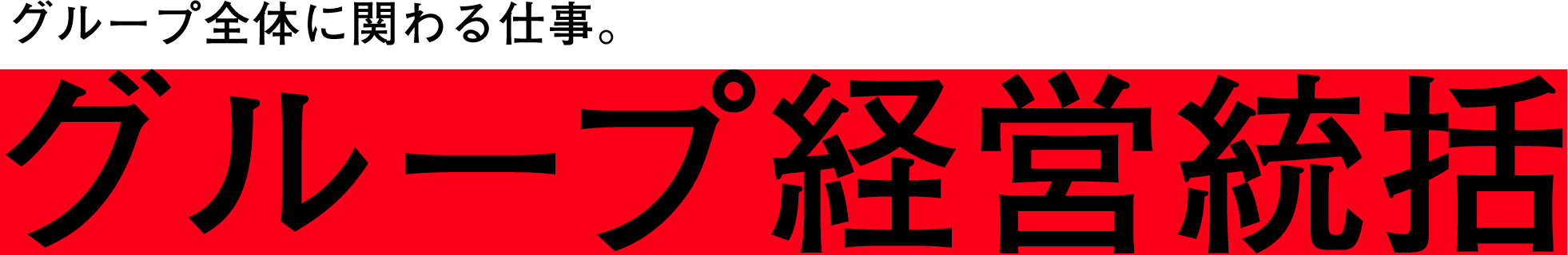 グループ全体に関わる仕事。 グループ経営統括