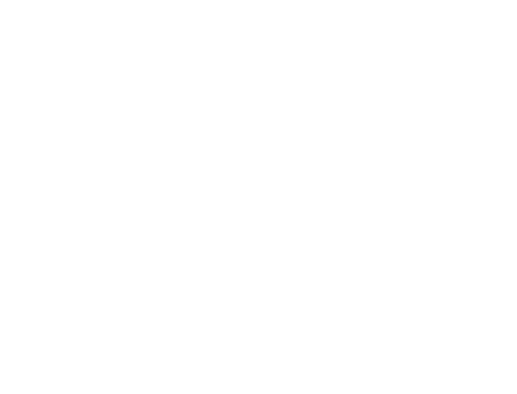 だ。